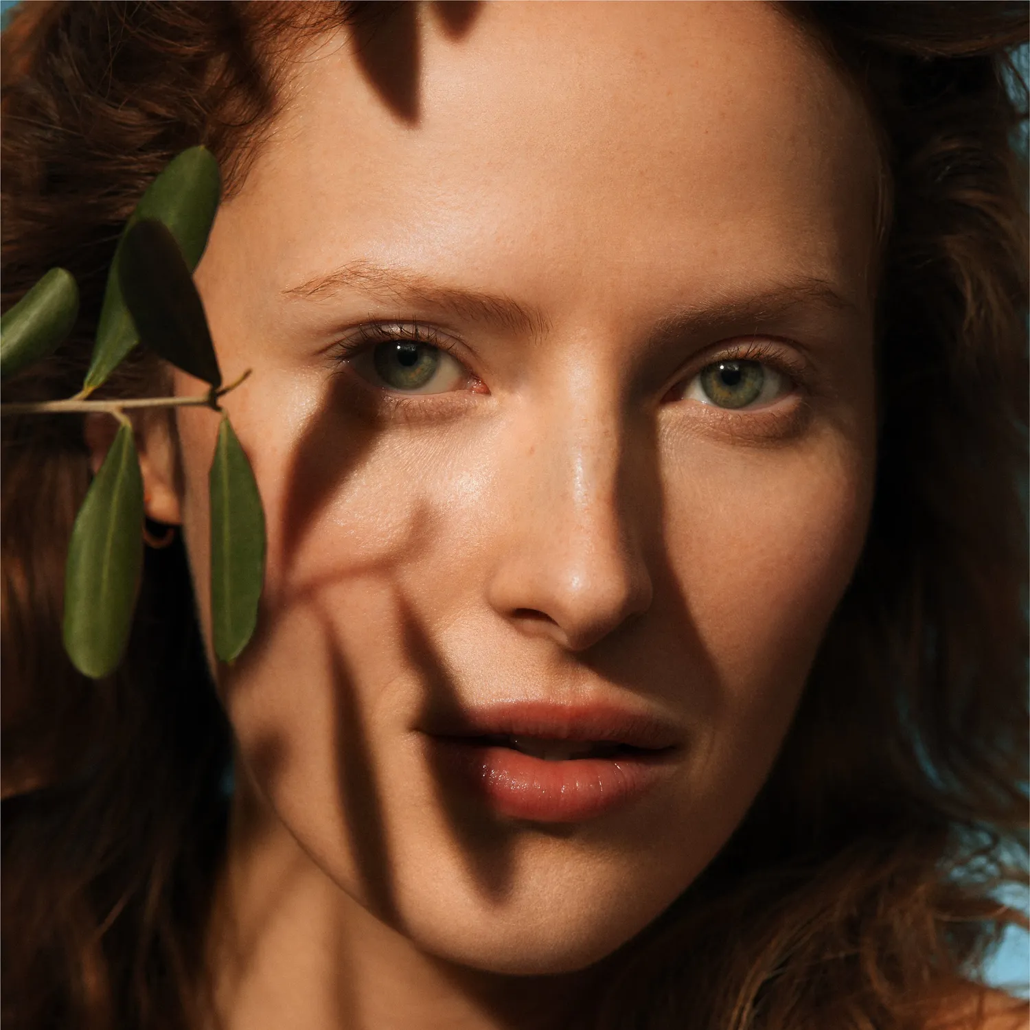 Irene Forte Olive Hydrating Eye Cream Nachfüllung 15 ml
