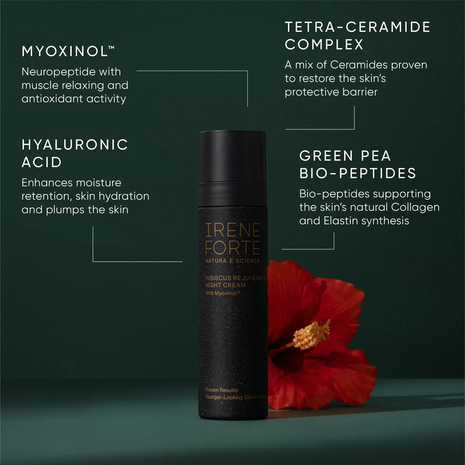 Irene Forte Hibiscus Rejuvenating Night Cream Nachtcreme 50ml Refill