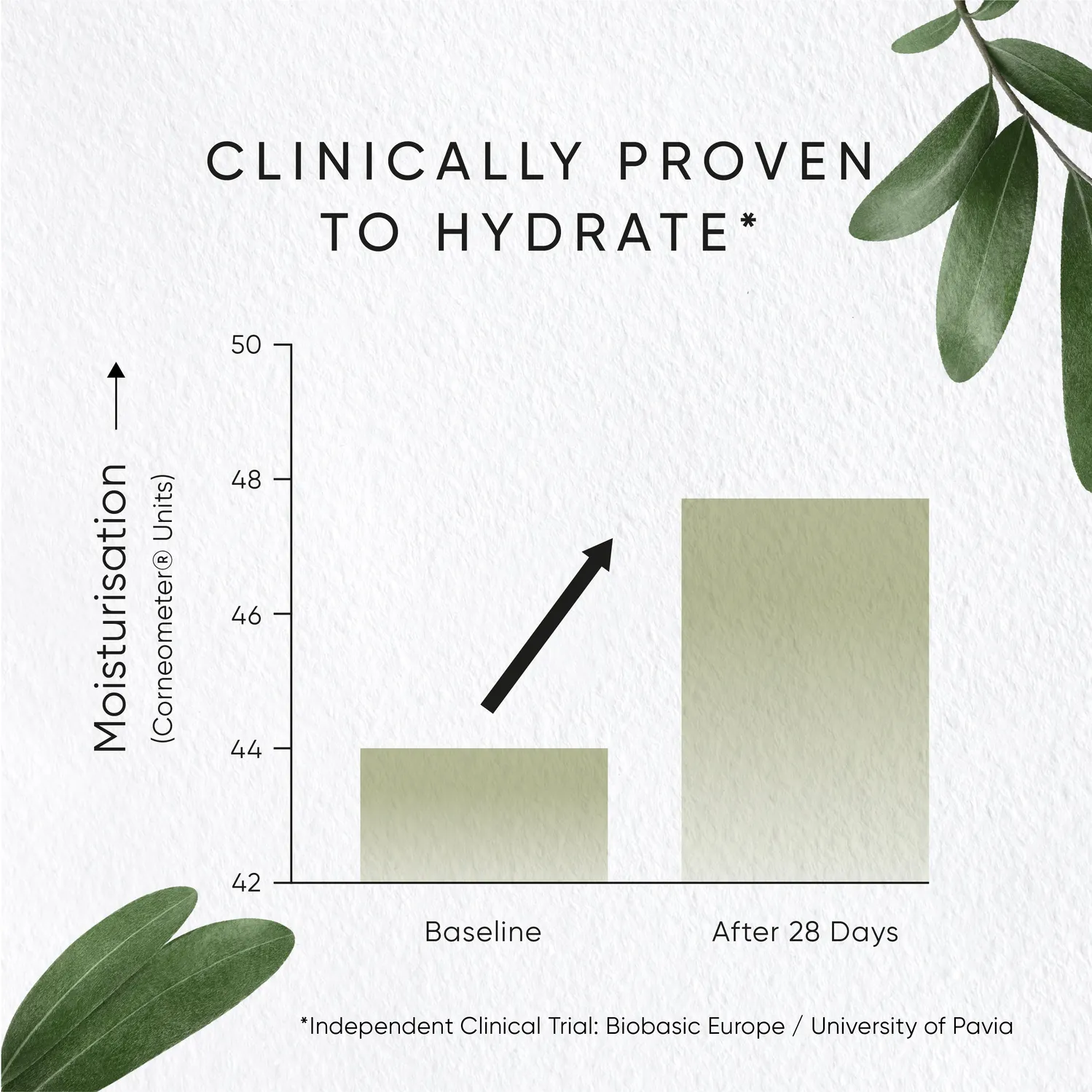 Irene Forte Olive Hydrating Eye Cream Nachfüllung 15 ml