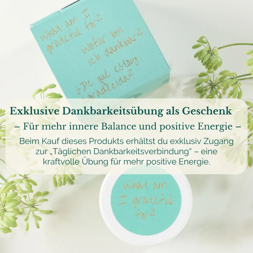amo como soy Self-Love Nr. 2 Set Serum Creme Regeneration